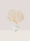 Coral with Crystal Base